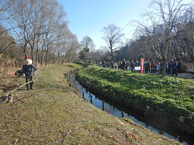 冬鳥観察会の皆さんの観察の様子