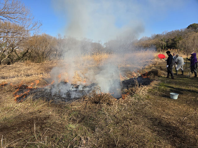 湿地の火入れ作業の様子