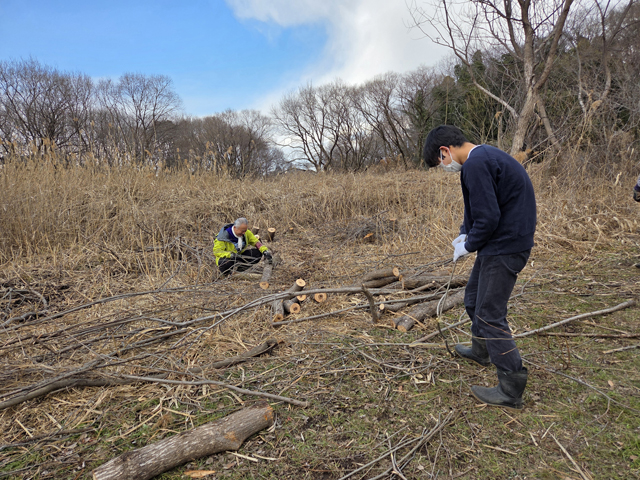 樹木管理作業の様子