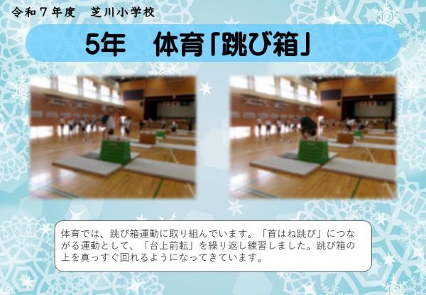 5年　体育