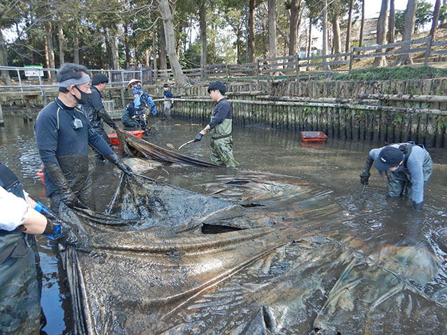 池底のシートをはがす様子