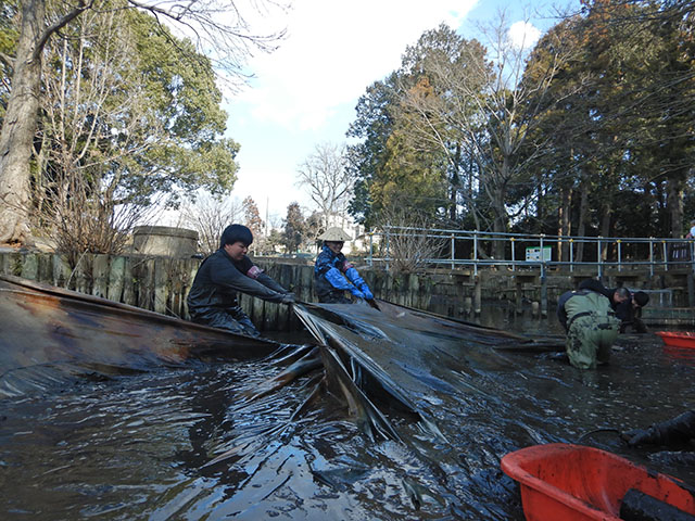 シートは息を合わせて引っ張ります