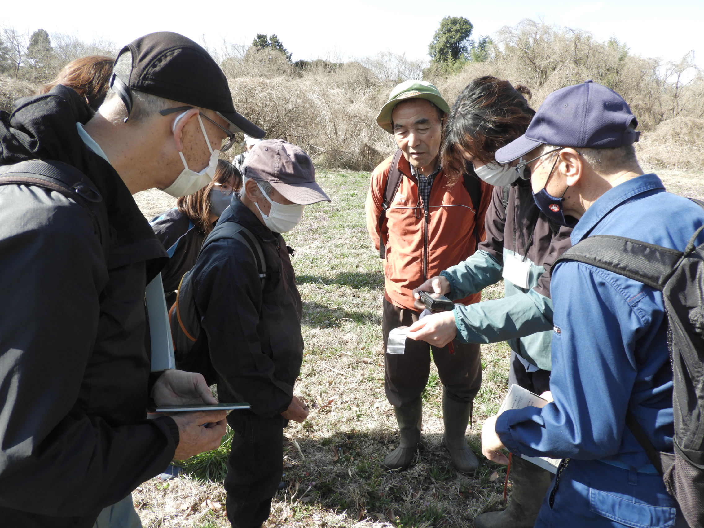 ニホンミツバチの観察の様子