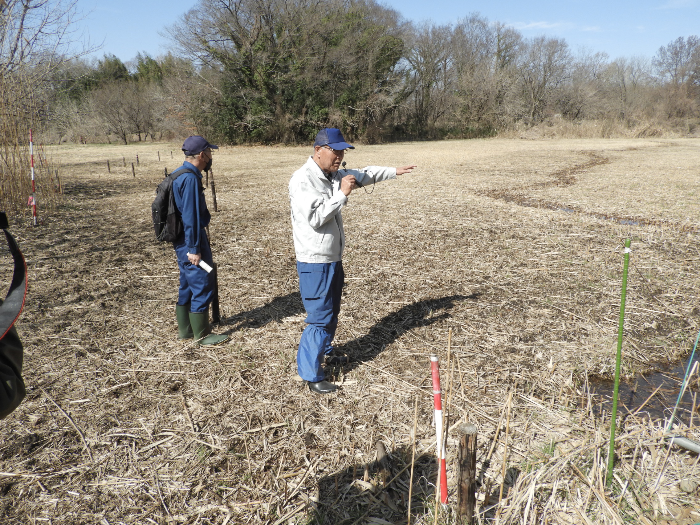 地元の方の解説