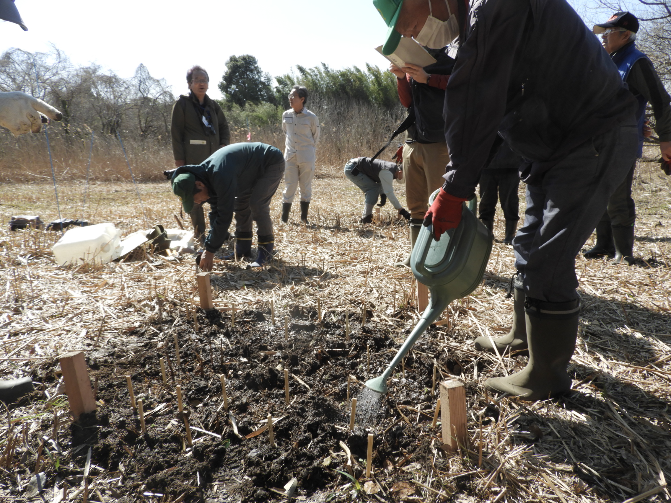 最後に水をまいて完了です