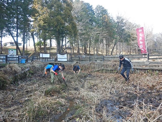 湿地の草刈り