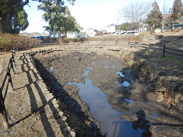 作業後の湿地