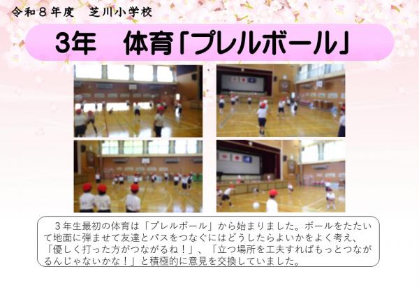 3年　体育