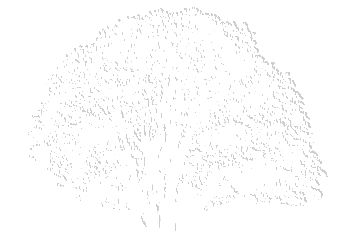 tree1.gif