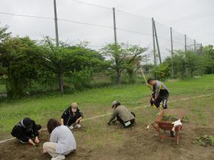 挨拶運動と除草作業